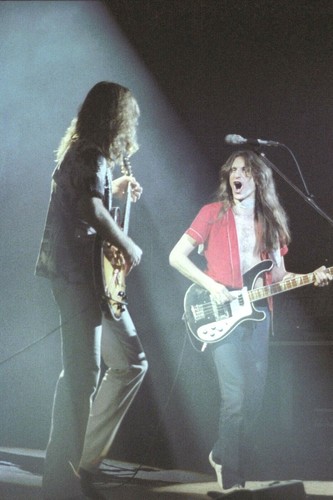 Rush concert hammersmith - rush,