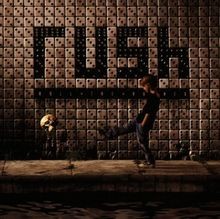 Roll the bones - , cd